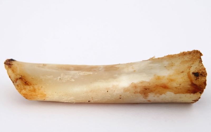 meat, canine, closeup, edible, chewable, copy space, chicken, dogs, bread, white color, reward, beef, mutton, prize, white background, background, chew