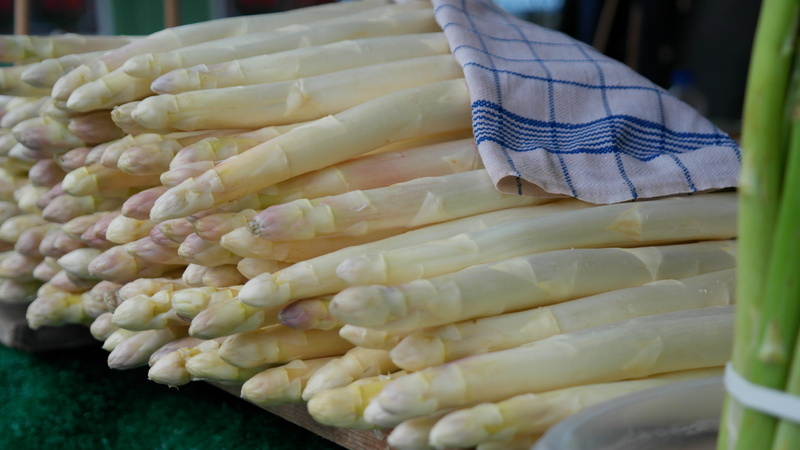 still life, white, vegetable market, healthy eating, eat, market stall, peeled, retail display, freshness, raw food, healthy, animal, food and drink, nutrition