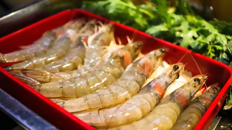 freshness, ready-to-eat, dining, asian, no people, container, vertebrate, fish, wellbeing, chinese food, animal, asian food, japanese food, tray, peoples republic of china