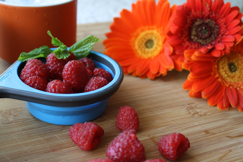 drink, strawberry, healthy eating, organic, glass, blended, vegan, healthy lifestyle, lifestyle, freshness, plant, refreshment, flowering plant, red, bowl