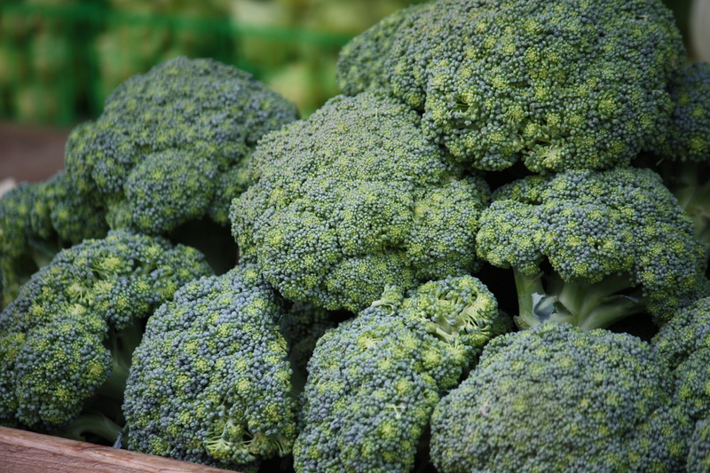 adult, food And Drink, dieting, antioxidant, Broccoli, food, crispy, 4K, retail, Healthy, wellbeing, still life, green, dinner, healthy Eating, stack