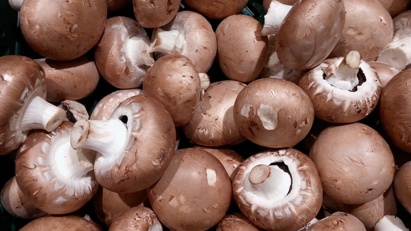 large group of objects, root champignon, raw food, horizontal, fruit, diversity, still life, edible, nature, backgrounds, healthy eating, freshness, abundance