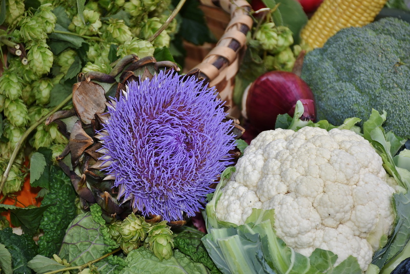 potato, cynara cardunculus, day, blue, vegetable, vegetables, freshness, wild artischoke, food, market, for sale, hops, broccoli, meatless, flower, summer