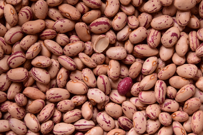 no people, vegetables, for sale, meatless, consumerism, bunch, beans, large group of objects, vegan, healthy eating, vegetable, food and drink, purple