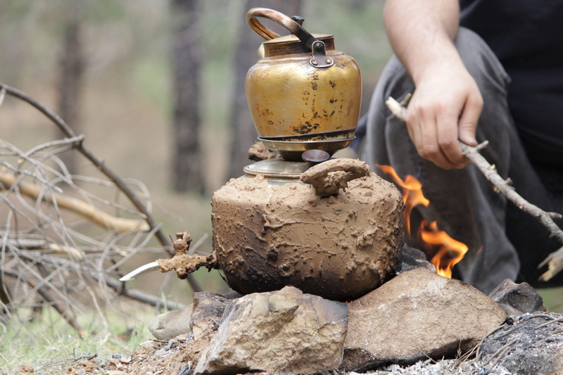 human body part, garden, tea, tehran, human hand, flame, heat - temperature, traditional, 13 bedar, recreation, organic, close-up, day, focus on foreground