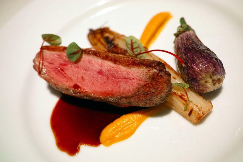 duck, sauce, steak, meal, lamb - meat, roasted duck, meat, roasted, beef, plate, red meat, still life, duck meat, indoors, dinner, gourmet, food, cuisine