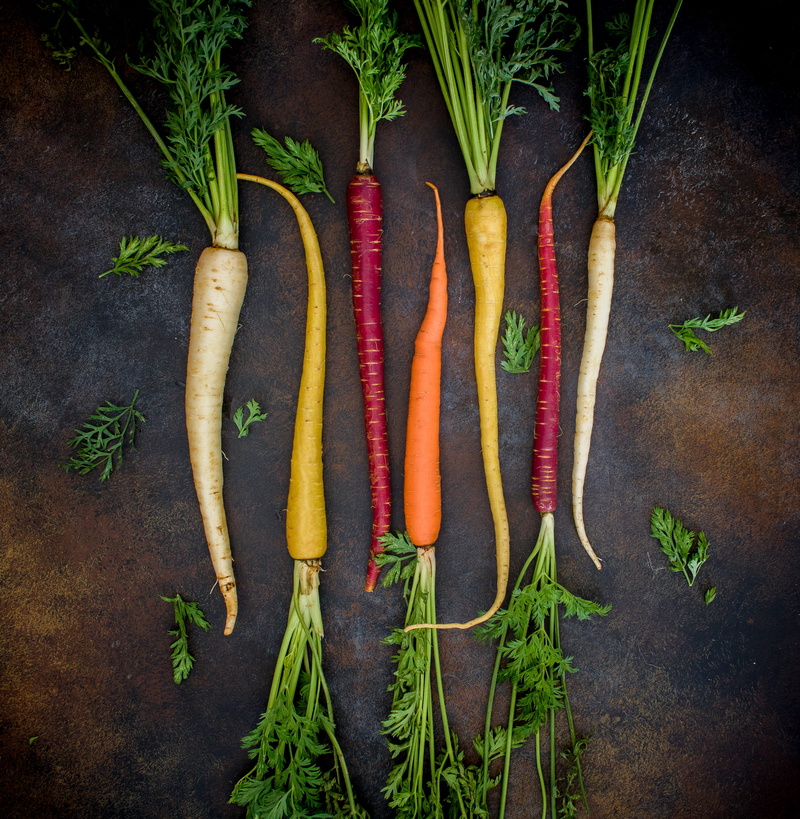 vegetable, freshness, baby, no people, food, color, orange, red, varieties, variation, directly above, high angle view, healthy eating, produce, veg, seven