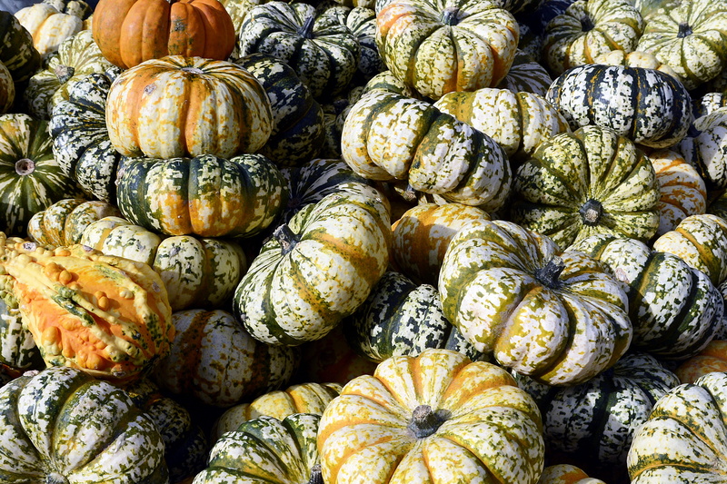 still life, halloween, high angle view, large group of objects, retail, structure, for sale, decoration, vegetarian food, food and drink, day, decorative