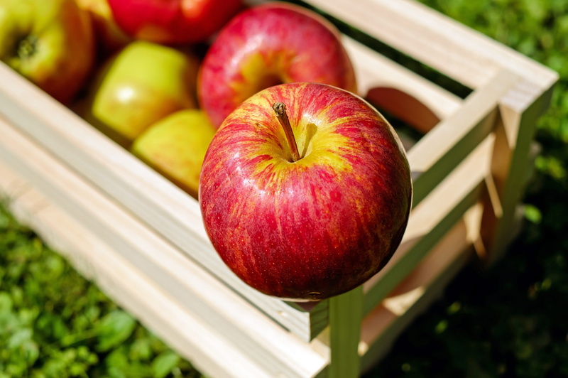 wellbeing, agriculture, wood - material, harvesting, no people, organic, close-up, plant, food, freshness, harvest, food and drink, healthy lifestyle, apple