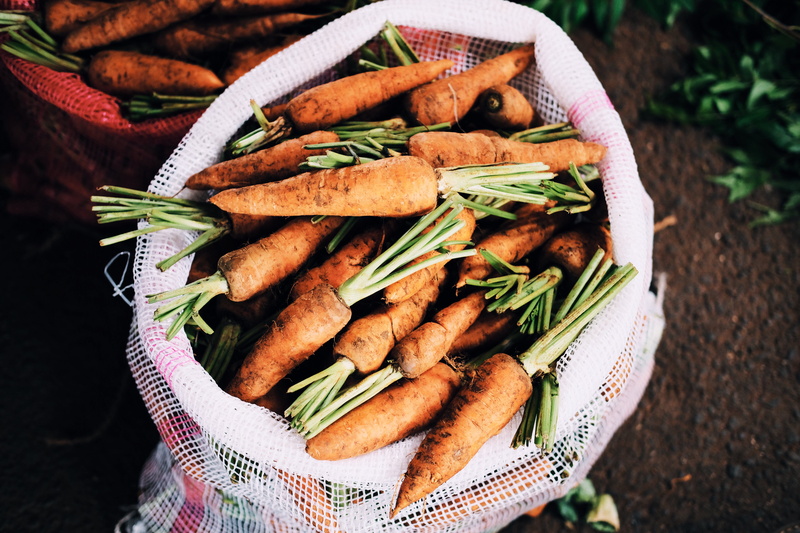 food, orange, fresh, organic, vegetables, root vegetable, soil, abundance, holding, day, one person, straight, vegetable, close-up, focus on foreground