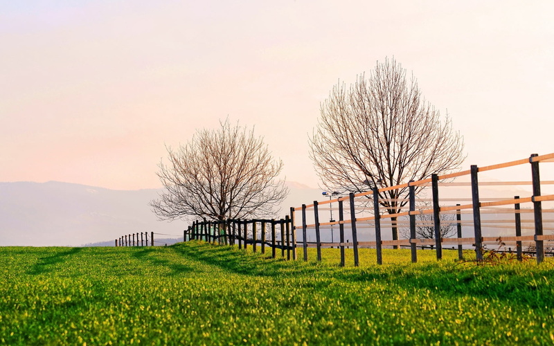 tranquility, trees, autumn, land, fence, no People, barrier, protection, plant, non-Urban Scene, tranquil Scene, outdoors, summer, wood - Material, brown
