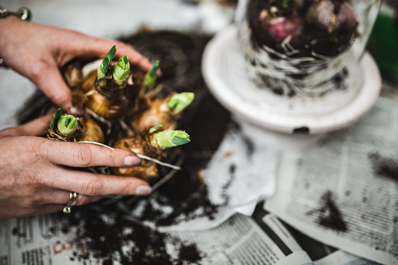 leisure activity, real people, human Hand, holding, lifestyles, finger, adult, plant, eggs, human body part, sapling, food, growing, preparation, table