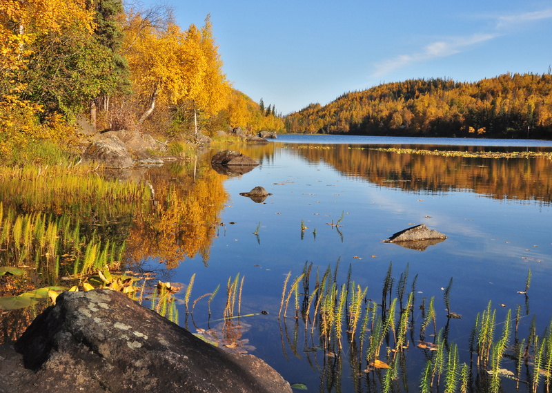 sky, Ravine, landscape, north, sutton, palmer, water, scenics, scenic, scenery, trees, matanuska, forest, beauty In Nature, fishing, autumn  leaves, blue sky