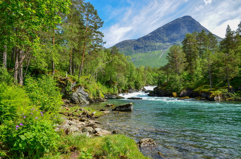 no people, green color, travel, beauty in nature, flowing water, land, trout, idyllic, outdoor, cloud - sky, norway, flowing, tree, nature, non-urban scene