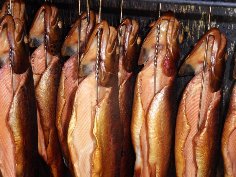 raw food, food, for sale, close-up, fish, fishing industry, market, animal, wellbeing, no people, retail, trout smoked, freshness, seafood, sale, retail display