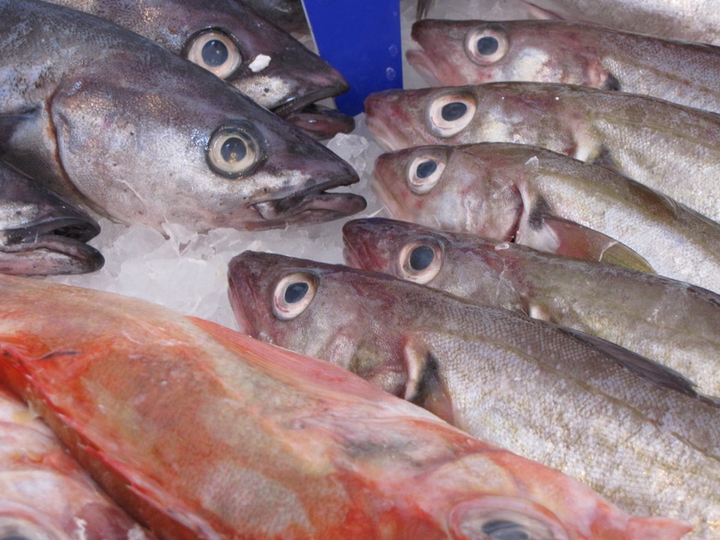 ice, healthy eating, consumerism, market stall, food, appetizer, no people, wellbeing, meal, red, raw food, retail display, tropical, fishery, vertebrate