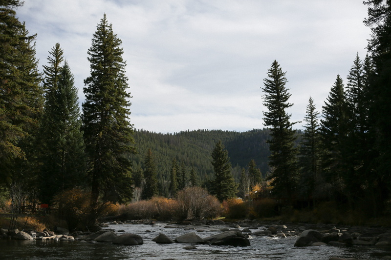 fishing, land, cloud - sky, fish, non-urban scene, woods, water, beauty in nature, pine tree, mountain, mountains, scenics - nature, rapids, tranquil scene