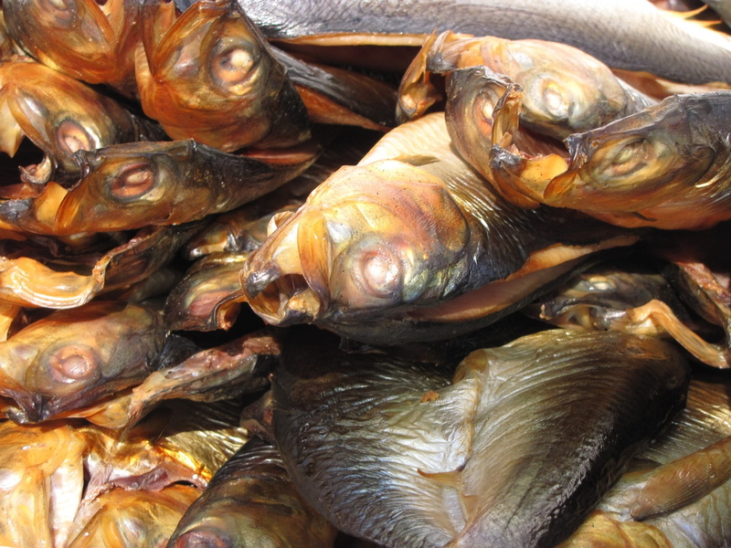 raw, retail, trout, frozen, market, meat, healthy eating, food, diet, gourmet, fish, sale, food and drink, salmon, mackerel, wellbeing, mussel, meal, fresh