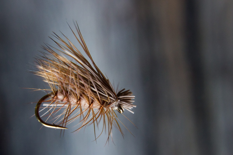 close-up, art, plant, day, outdoors, flies, tranquility, united states, land, selective focus, nature, spiked, no people, dry, fly fishing, barley, caddis fly