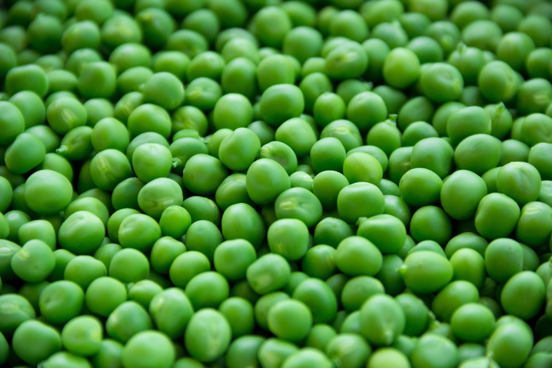 peas, large group of objects, abundance, wellbeing, organic, green pea, group, full frame, sweet, plant, vegan, natural, raw Food, legume family, fruit