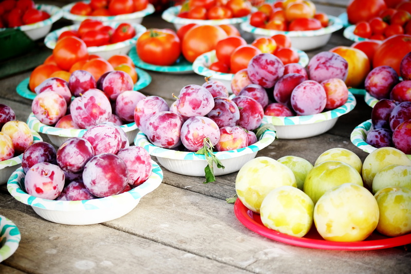food and drink, arrangement, bowls, ripe, healthy, nature, table, fruits, farm, season, still life, organic, picking, freshness, healthy eating, plate