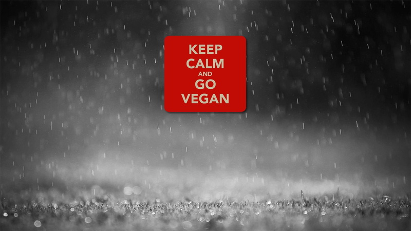 3d and abstract, 1080P, calm, vegan, vegetarian, keep, go