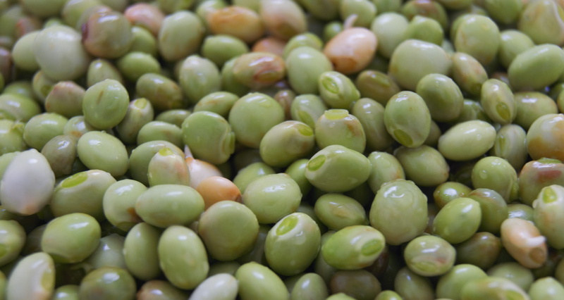 freshness, fruit, large group of objects, heap, close-up, food, day, vegetable, ripe, legume family, green peas, retail, pigeon peas green, food and drink