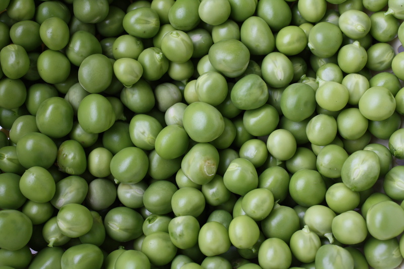 backgrounds, no people, food and drink, still life, close-up, green, many, 4K, healthy eating, freshness, vegetable, food, large group of objects, fruits