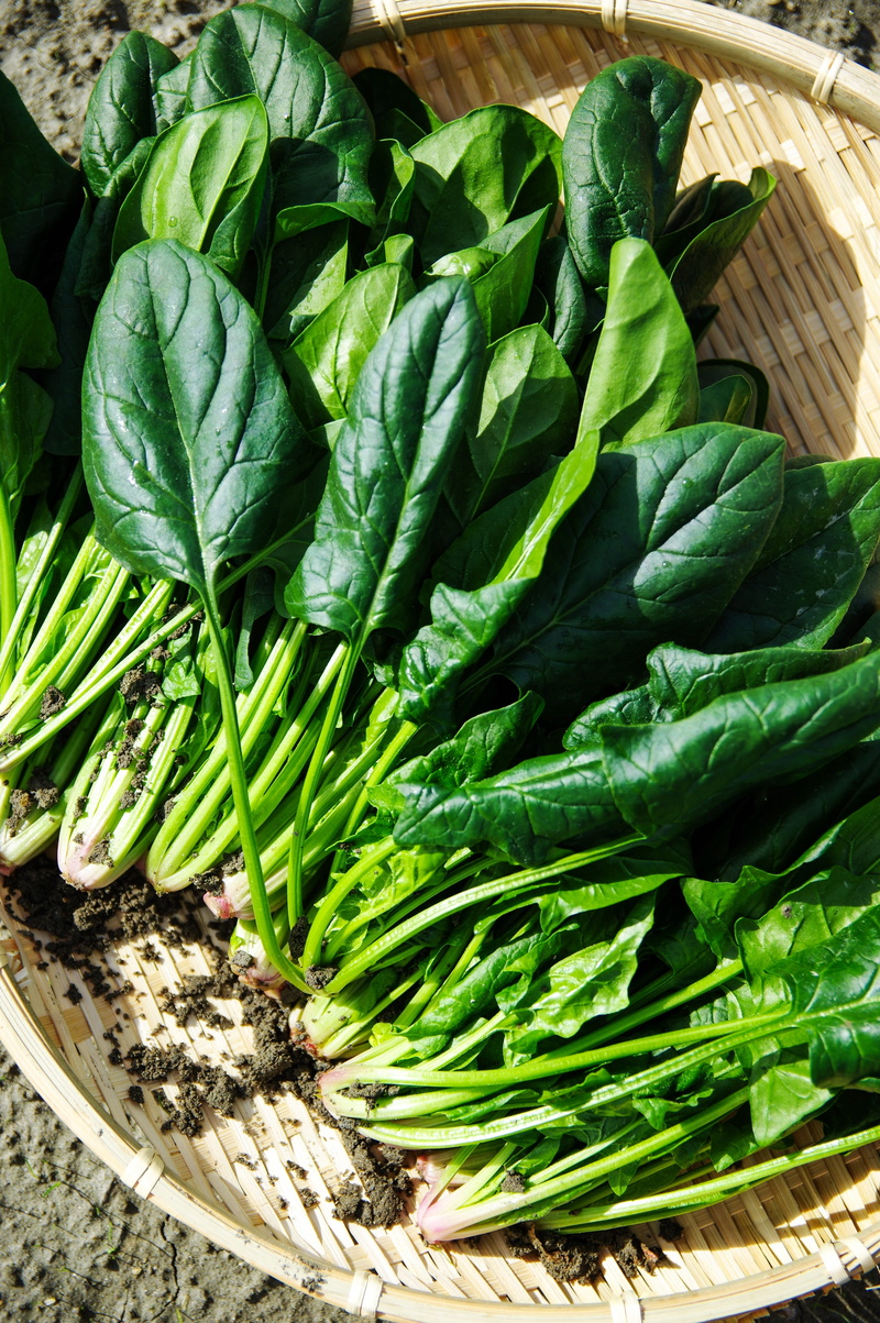 food and drink, healthy eating, still life, organic, vegetables, green, container, vegetable, basket, green color, spinach, wicker, raw food, no people