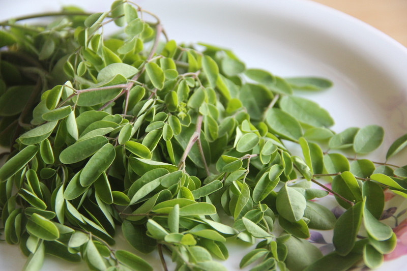 spinach, high angle view, tea leaves, raw food, leaves, nature, indoors, fresh, plant part, 5K, vegetable, plant, no people, organic, green color, food and drink