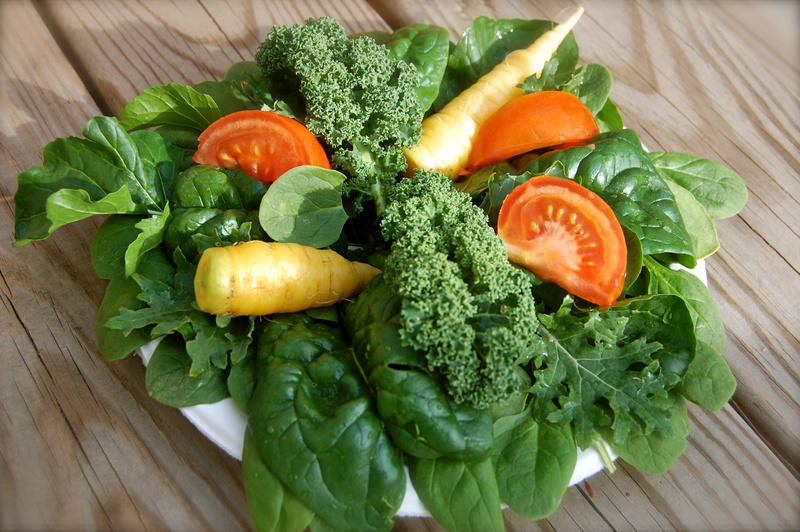 carrots, bunch, tomato, wellbeing, 2K, high angle view, herb, fruit, plant part, lettuce, leaf, still life, green color, raw food, table, vegetables, no people