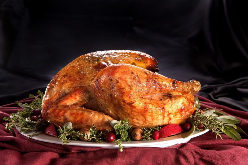 fowl, holiday, meat, 2K, thanksgiving, turkey, bird
