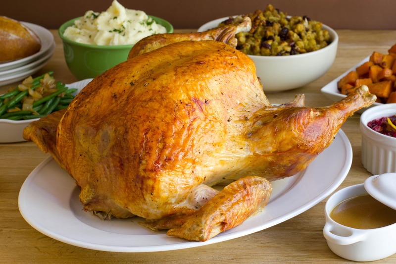 fowl, 4K, meat, holiday, thanksgiving, turkey, bird