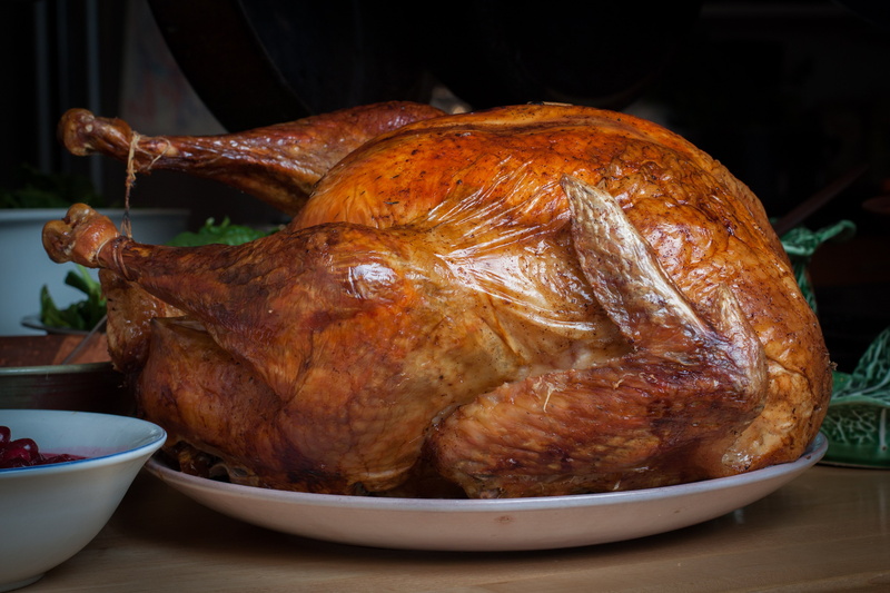 turkey, 4K, thanksgiving, fowl, meat, holiday, bird