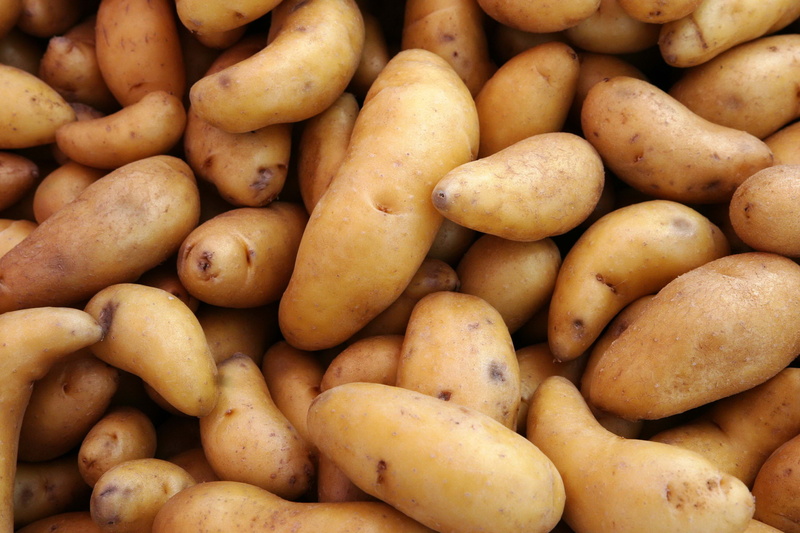 2K, raw Potato, retail, raw Food, root Vegetable, brown, heap, organic, agriculture, vegetables, dieting, backgrounds, wellbeing, ripe, gourmet, sale