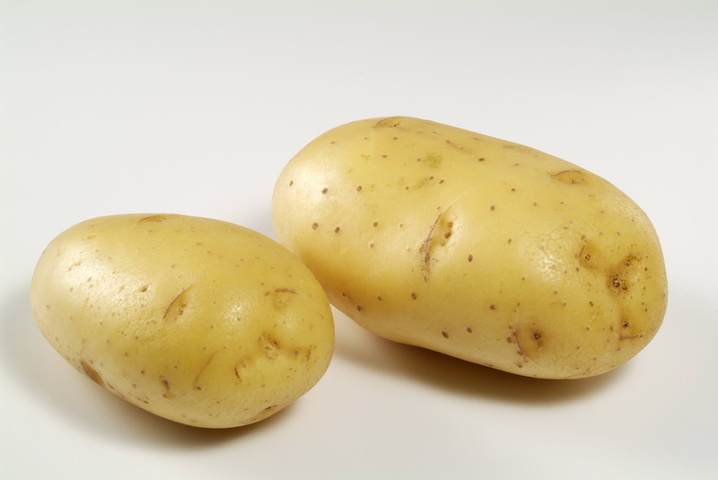 backgrounds, meal, isolated, vegetable, organic, wellbeing, studio shot, couple, carbohydrate - food type, vegetarian Food, potato, yellow, brown, freshness