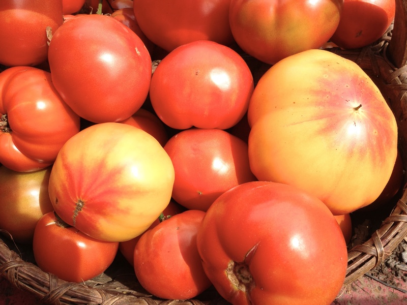 heirloom tomatoes, tomato, food and drink, healthy, full frame, red, ripe, healthy eating, veggie, tomatoes, wellbeing, large group of objects, freshness