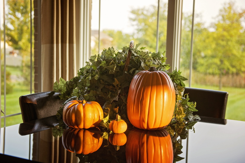 nature, 5K, vegetable, table, focus on foreground, food and drink, holiday, window, decoration, food, november, orange color, season, growth, pumpkins
