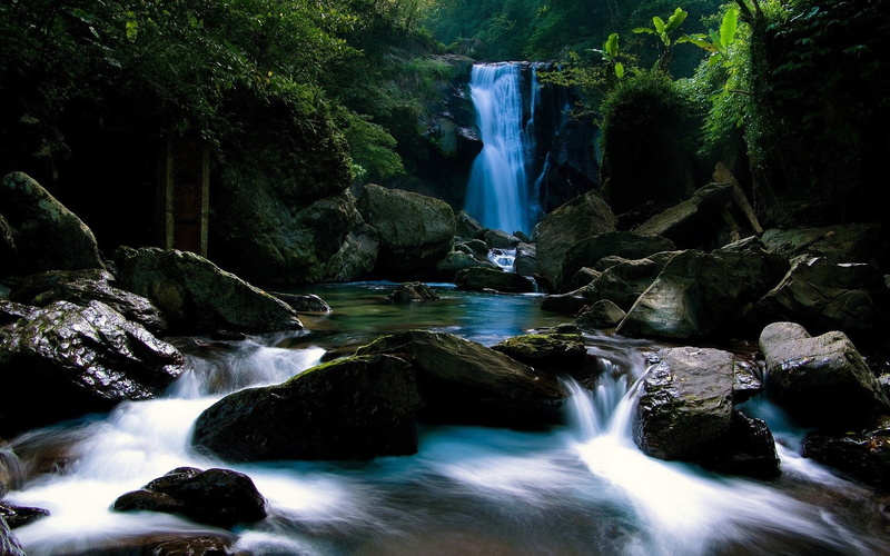Rock, Secluded, Jungle, Waterfall, Wilderness, 1080P, Stream, Pool, Photography, Waterfalls