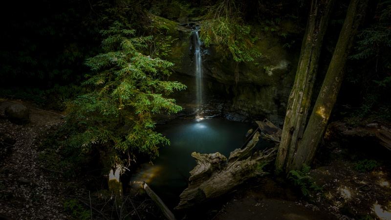 view, trunk, rainforest, canopy, boulder creek, nature, water, river, mysteriou, peaceful, secluded, waterfalls, plant, waterfall, flowing water, high