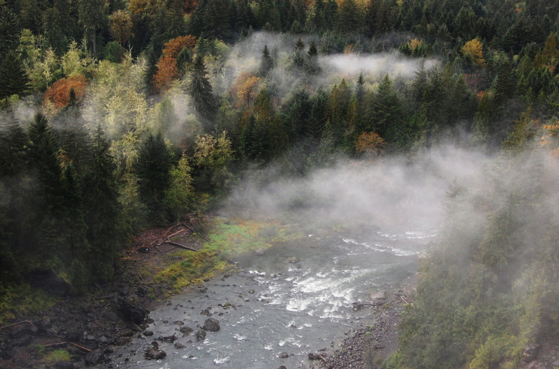 smoke - physical structure, 2K, plant, beauty in nature, wilderness, snoqualmie, secluded, trees, fall, lost, water, cold, heat - temperature, landscape