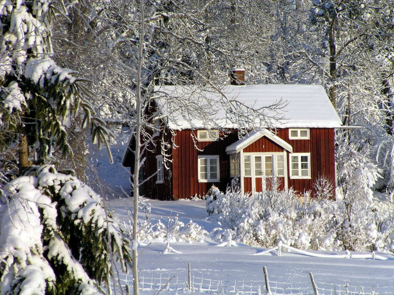 tree, winter, cold temperature, idyll, snowy, building exterior, red cottage, nature, no people, building, red house, covering, roof, alone, day, evocative