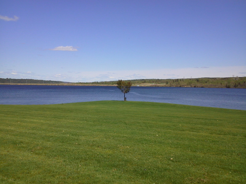 land, environment, scenics - nature, water, landscape, grass, golf, tranquil scene, sky, lake, tranquility, scenics, beauty in nature, outdoors, plant