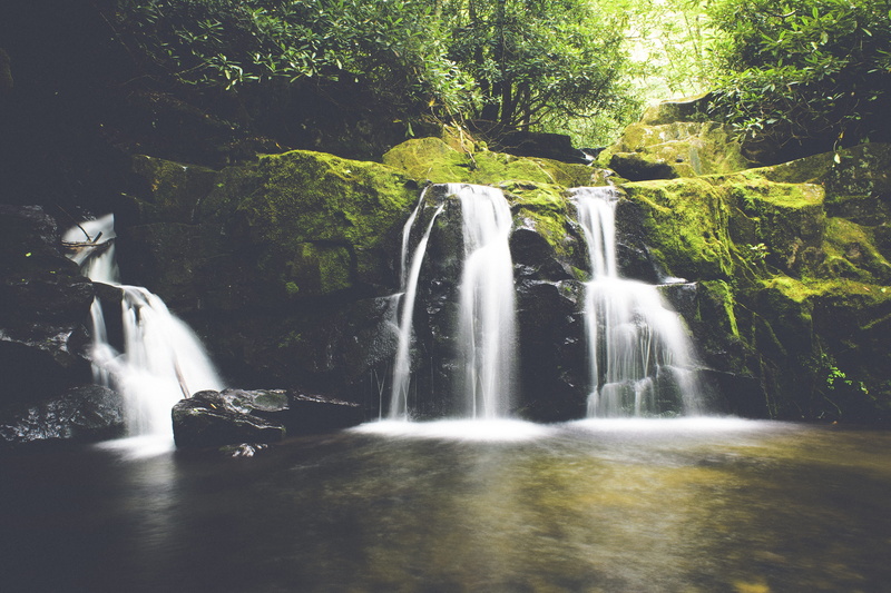 scenics - nature, solid, blurred motion, tree, united states, day, escape, natural, middle prong trail, nature, hike, outdoors, moss, land, greenery, waterfall