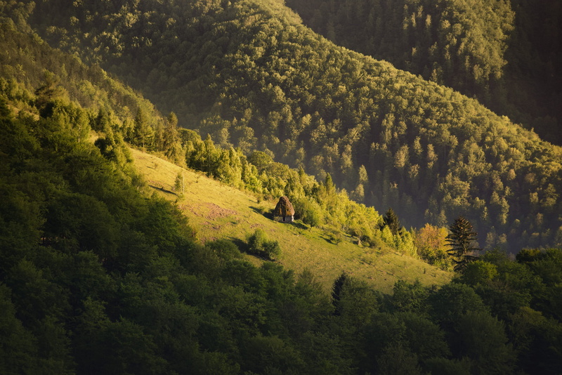 mountain, tranquility, photography, wood, 4K, sunlight, house, little, green, outdoors, forest, olive, day, romania, daytime, high angle view, cottage
