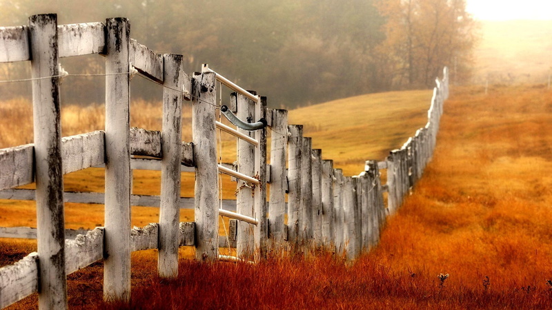 outdoors, mid distance, field, daytime, seasons, mist, 1080P, white, seclude, fence, farm, rural scene