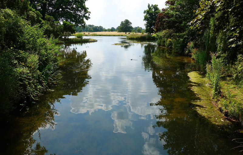 growth, landscape, nature, plant, no people, outdoors, 5K, water, peaceful, tranquility, tree, lake, sky, countryside, forest, day, tranquil scene, reflection