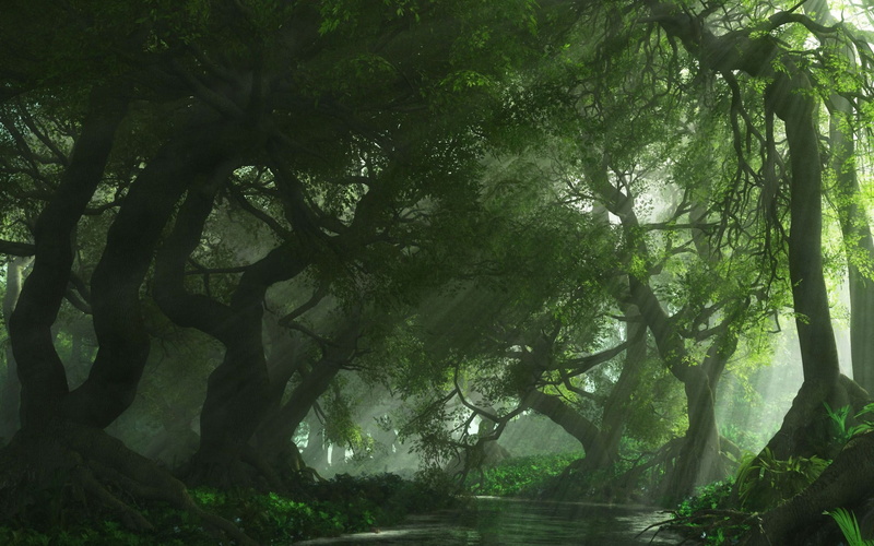 foliage, forests, beautiful, art, 2K, hd, Green, nature, stream, light rays, secluded