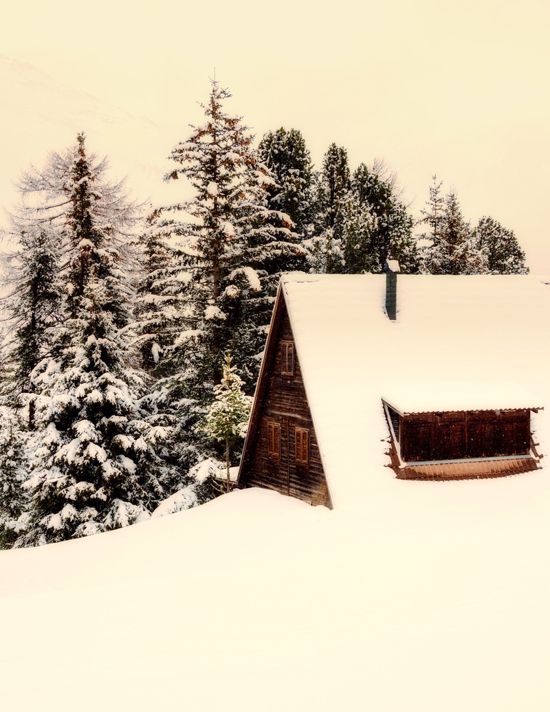 frozen, architecture, tranquility, scenics - nature, log cabin, covering, snow, beauty in nature, no people, 1080P, home, day, secluded, tree, tranquil scene