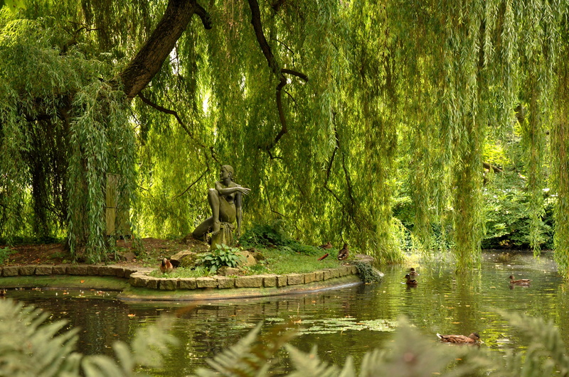 water, landscape, land, statue, park, tranquility, tree, reflection, day, growth, forest, woodland, sitting, karlovy vary, czech republic, nature, 4K